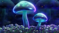 蘑菇 蘑菇屋 蘑菇精灵 夜景 梦幻蘑菇 奇幻 夜光 魔幻 奇异...